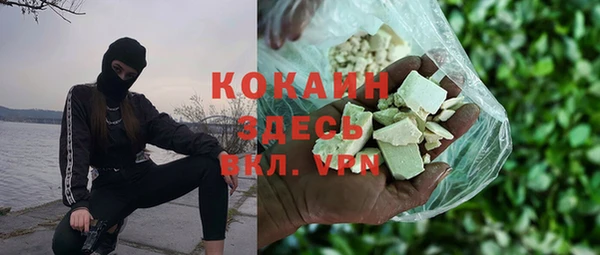 индика Тавда