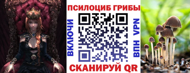 купить сайты Отрадная Псилоцибиновые грибы MAGIC MUSHROOMS